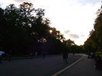 IMGP9170.jpg
