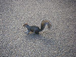 IMGP9196.jpg