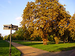 IMGP9198.jpg