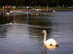 IMGP9208.jpg