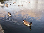 IMGP9214.jpg