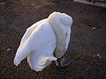 IMGP9233.jpg