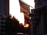 IMGP9235.jpg