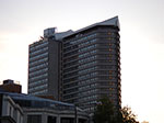 IMGP9239.jpg