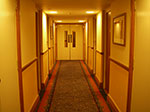 IMGP9246.jpg