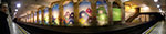 IMGP9249-pan.jpg