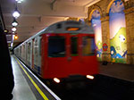 IMGP9260.jpg