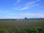 IMGP9277.jpg