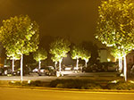 IMGP9347.jpg