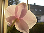 IMGP9362.jpg
