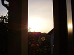 IMGP9373.jpg