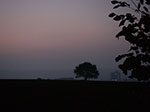 IMGP9391.jpg