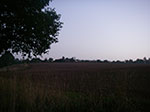 IMGP9396.jpg