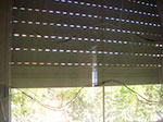 IMGP9403.jpg