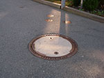 IMGP9404.jpg