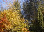 IMGP9412.jpg