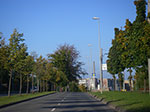 IMGP9415.jpg
