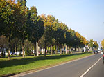 IMGP9430.jpg
