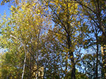 IMGP9436.jpg