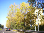 IMGP9440.jpg