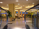 IMGP9471.jpg