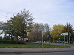IMGP9485.jpg