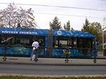 IMGP9486.jpg