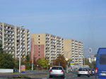 IMGP9525.jpg