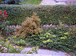 IMGP9548.jpg