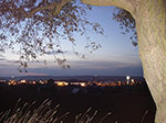 IMGP9566.jpg