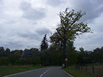 IMGP9591.jpg