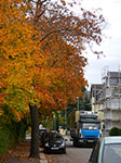 IMGP9594.jpg