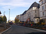IMGP9655.jpg