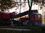 IMGP9672.jpg
