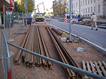 IMGP9675.jpg
