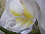 IMGP9713.jpg
