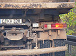 IMGP9728.jpg