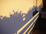 IMGP9751.jpg