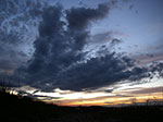IMGP9788.jpg