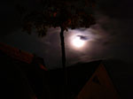 IMGP9814.jpg