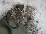 IMGP9862.jpg