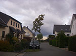 IMGP9906.jpg