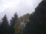 IMGP9928.jpg