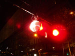 IMGP9961.jpg