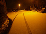 IMGP9981.jpg