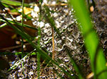 IMGP0008.jpg