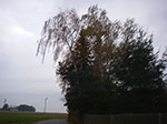IMGP0075.jpg