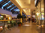 IMGP0103.jpg