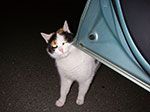 IMGP0110.jpg