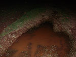 IMGP0127.jpg